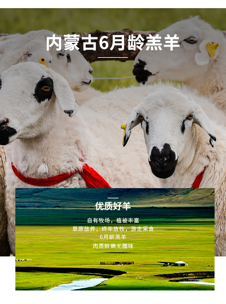 详情图片