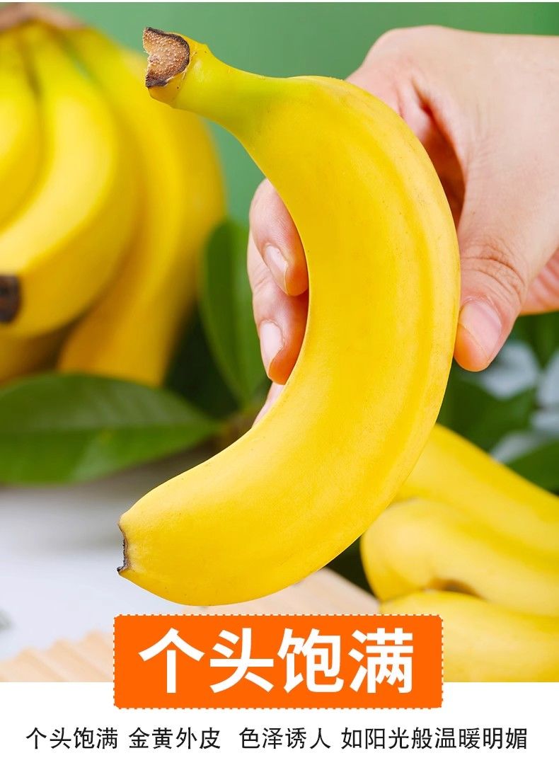 详情图片
