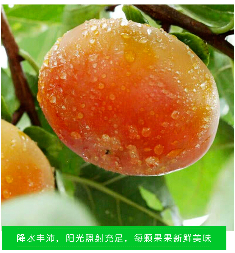 详情图片