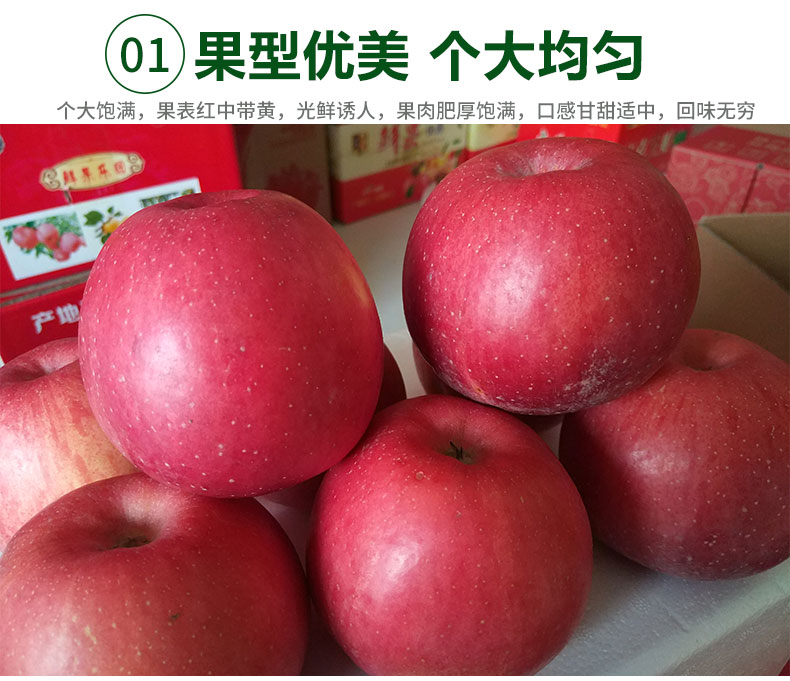 详情图片