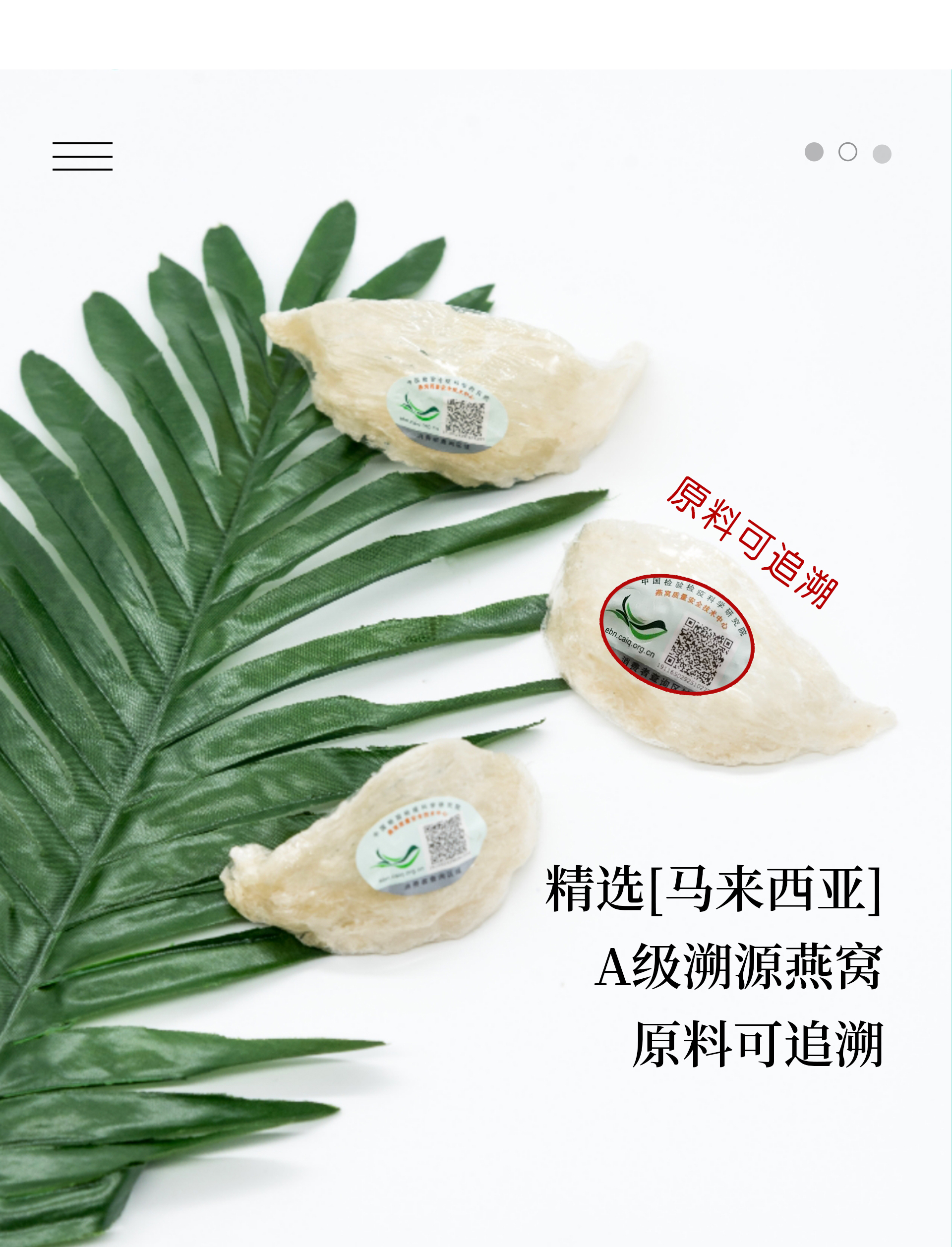 详情图片
