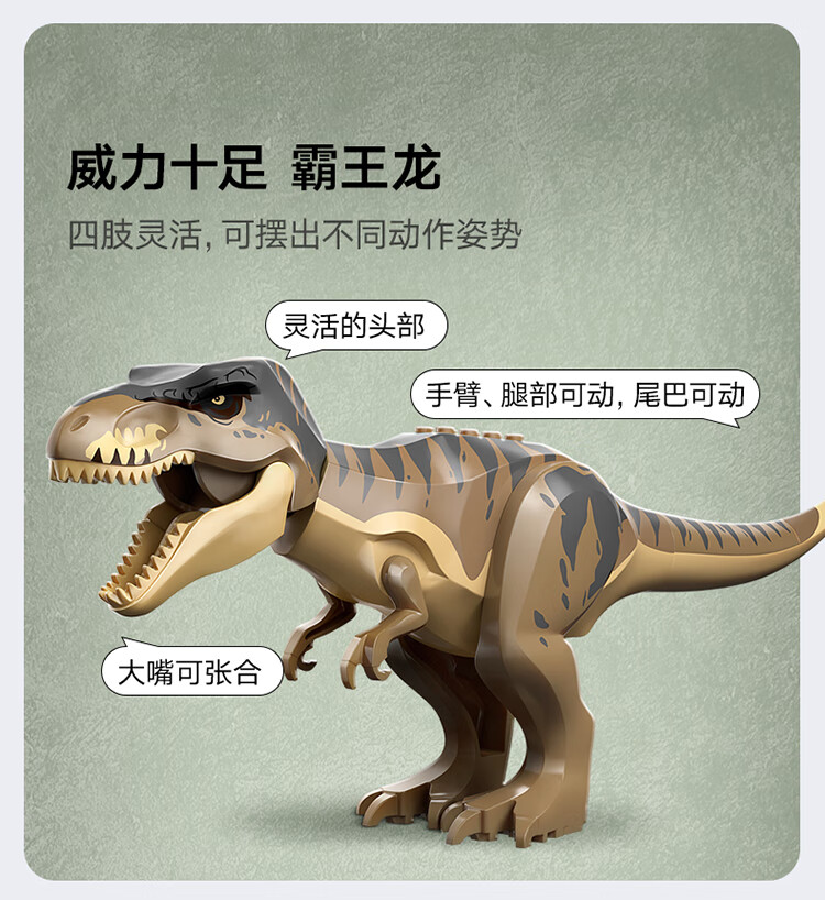 详情图片