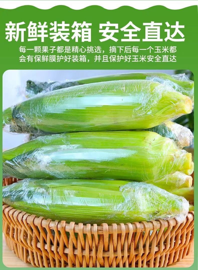 详情图片