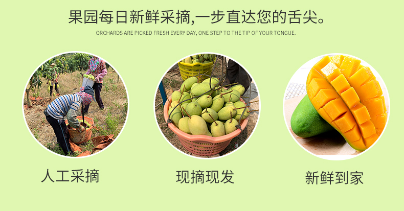 详情图片