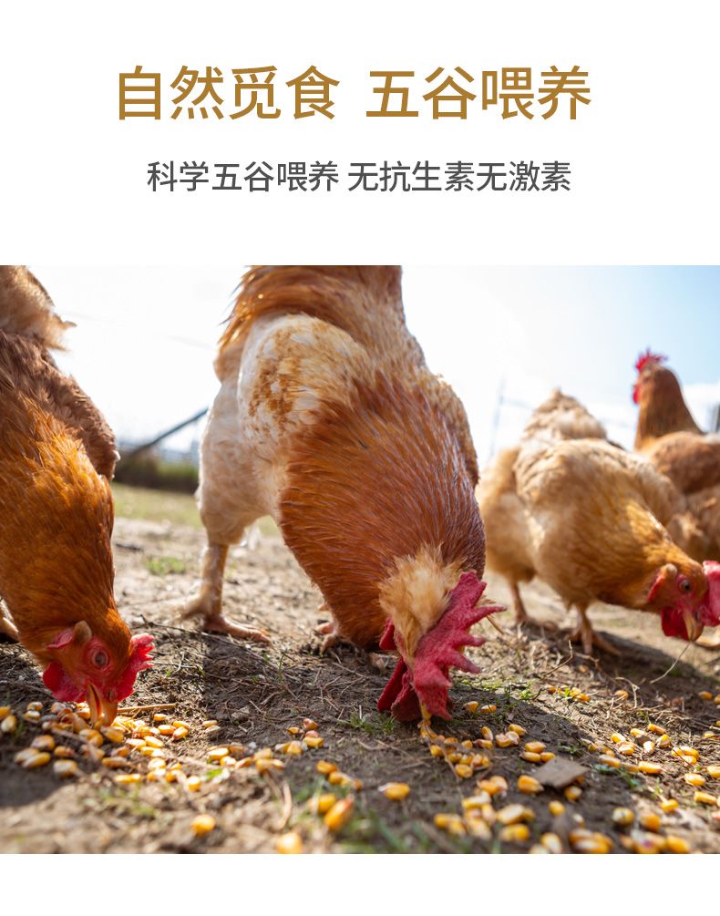 详情图片
