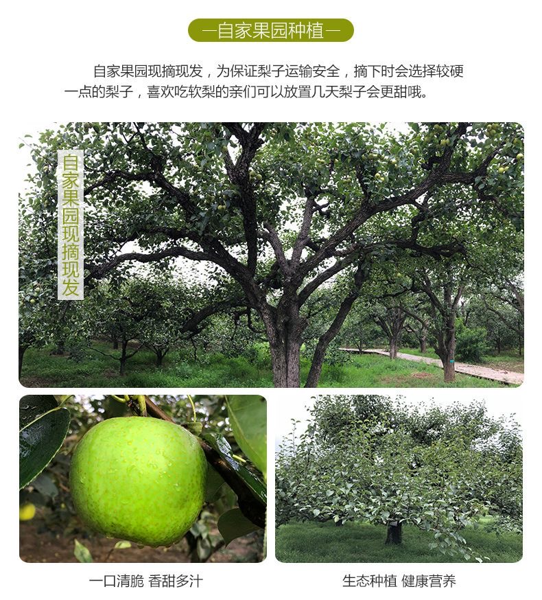详情图片