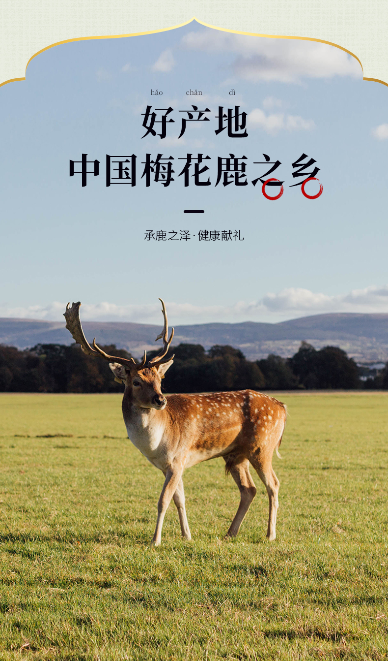 详情图片
