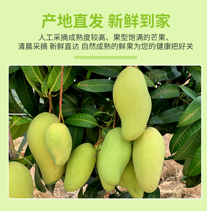 详情图片