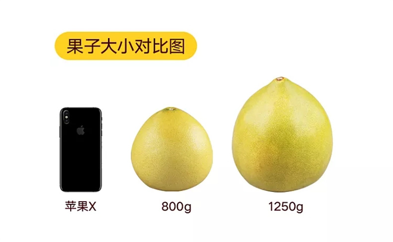 详情图片