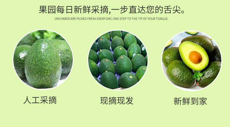 详情图片