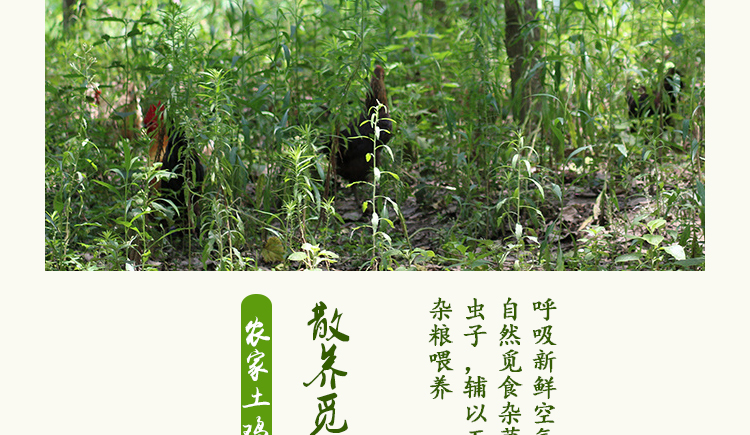 详情图片