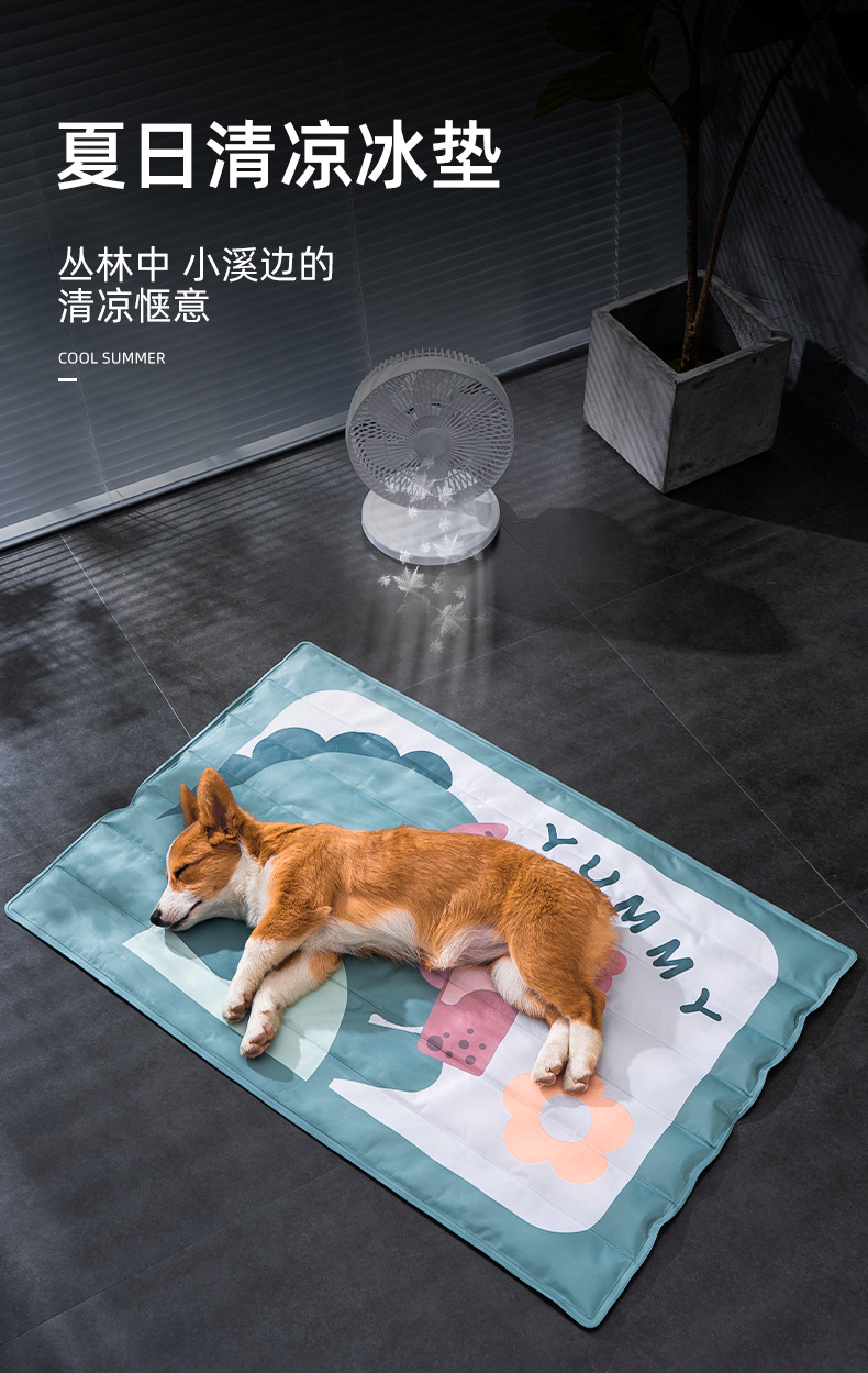详情图片
