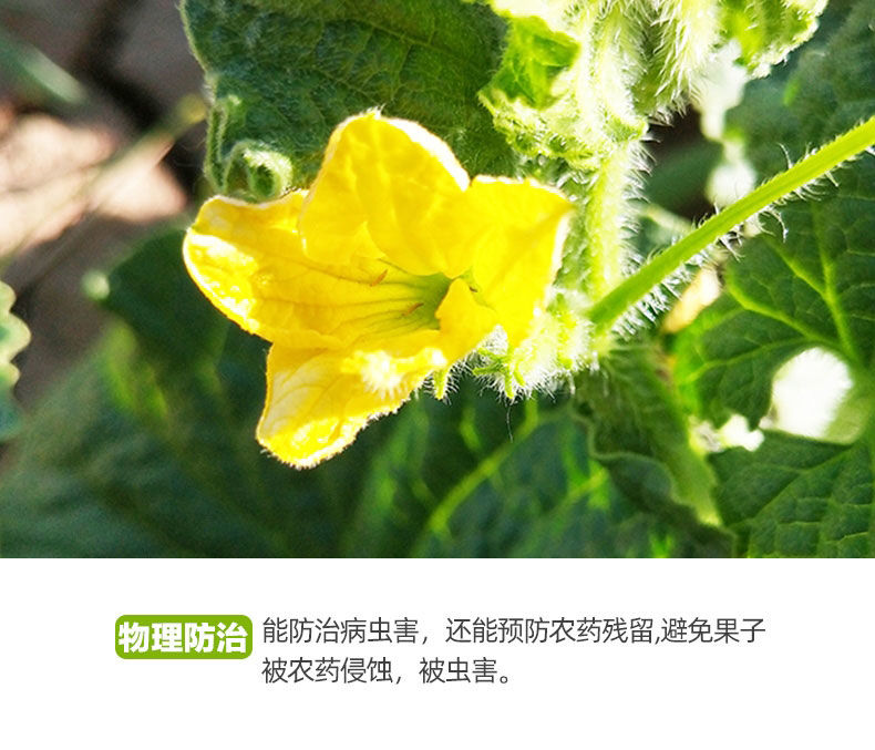 详情图片