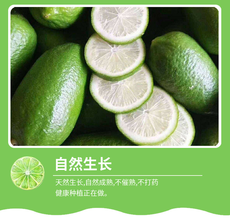 详情图片