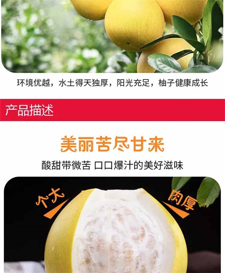 详情图片