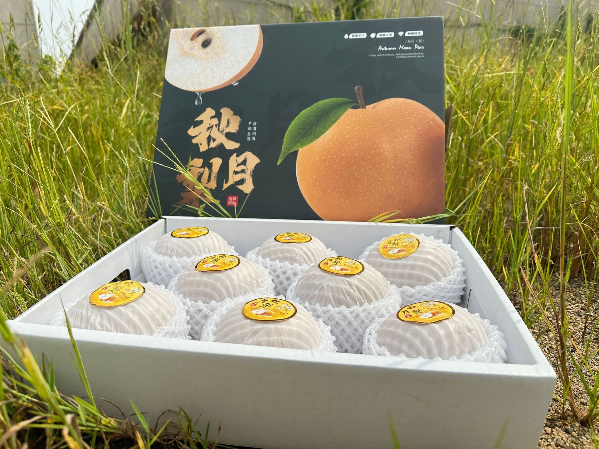 详情图片