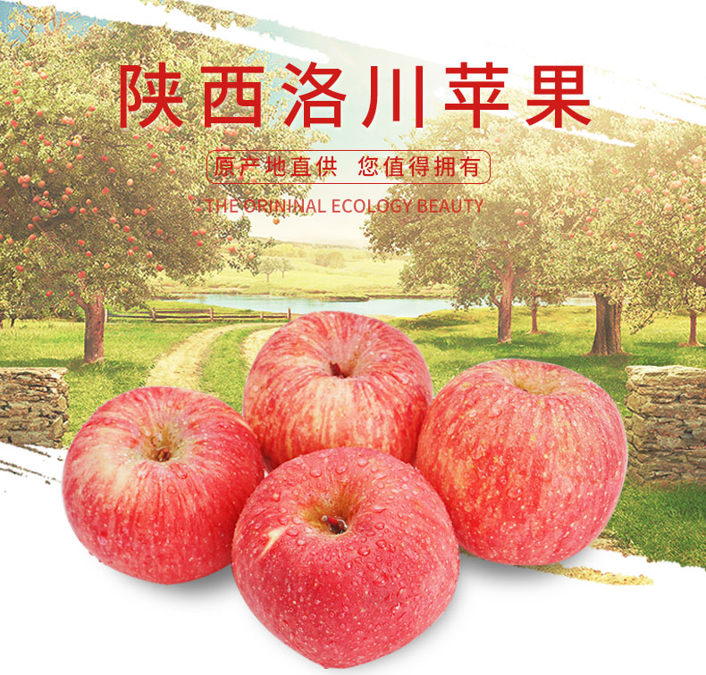 详情图片