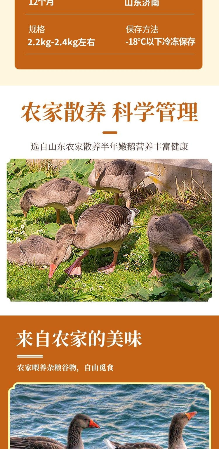 详情图片