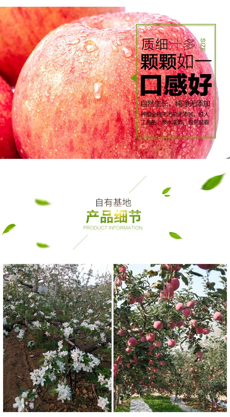 详情图片