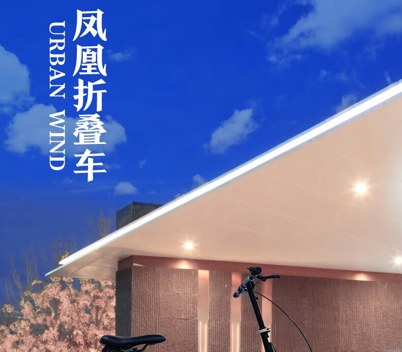 详情图片