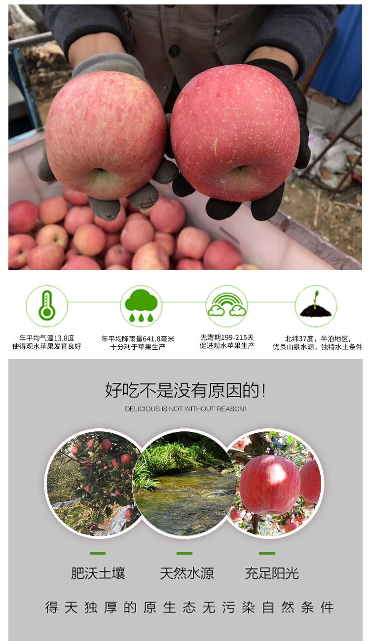 详情图片