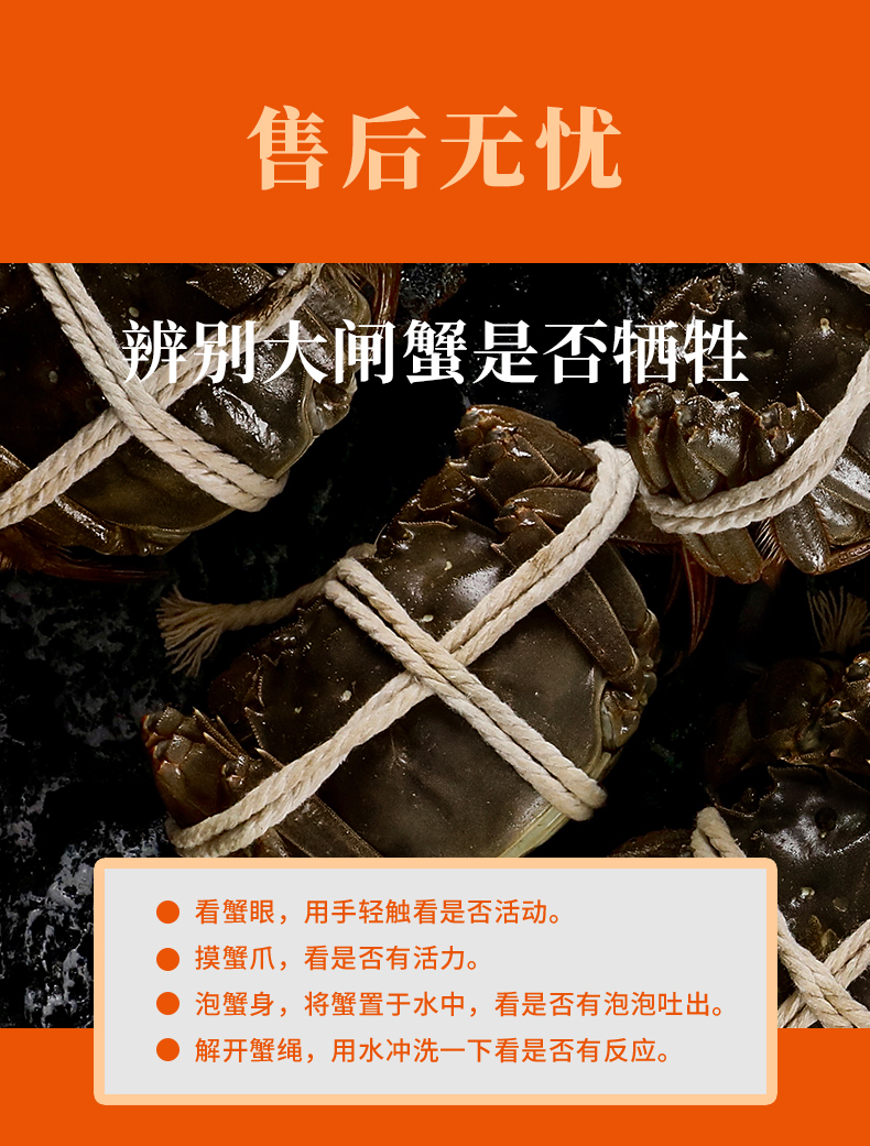 详情图片