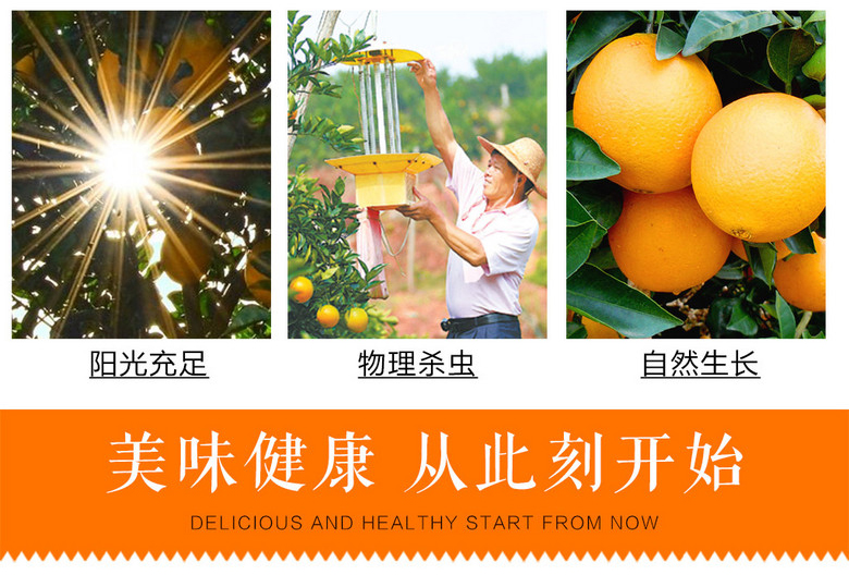 详情图片