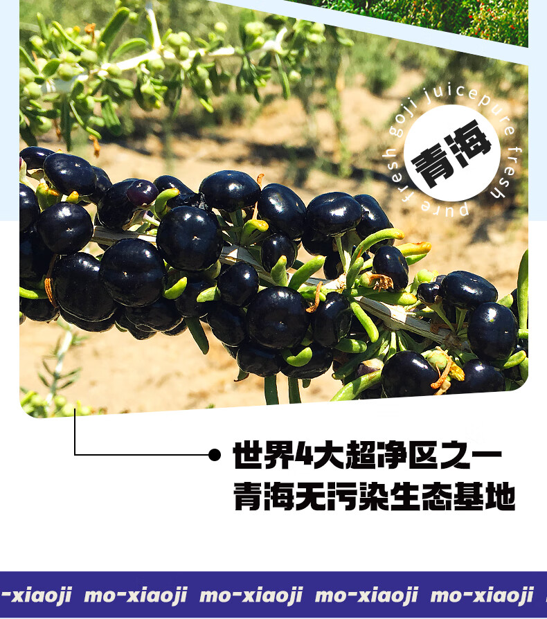 详情图片