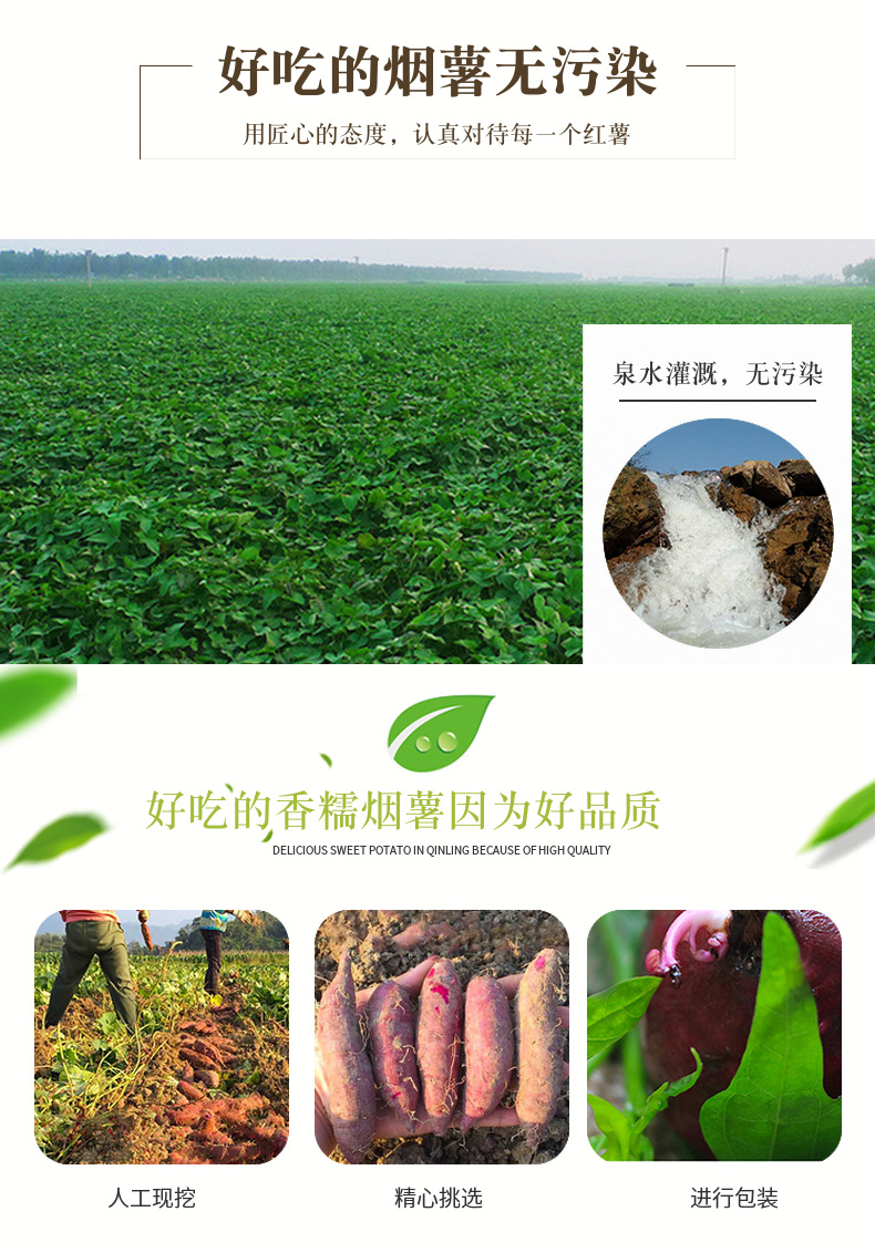 详情图片